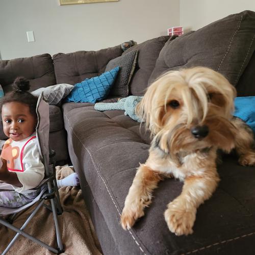 User's pet: Coco