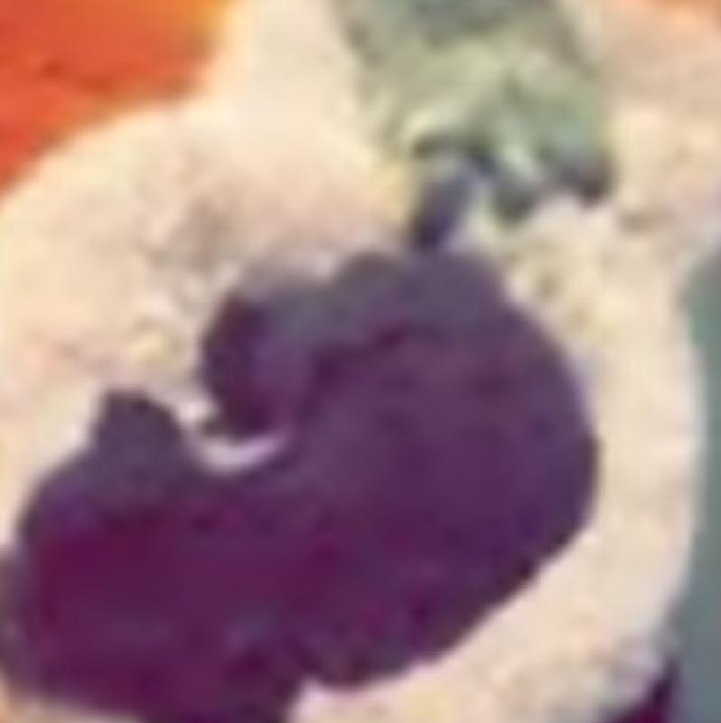 User's pet: Rocky