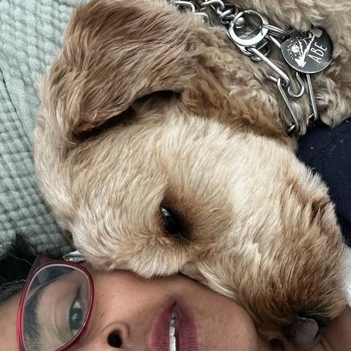 User's pet: Abe