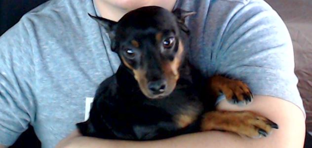 User's pet: Max