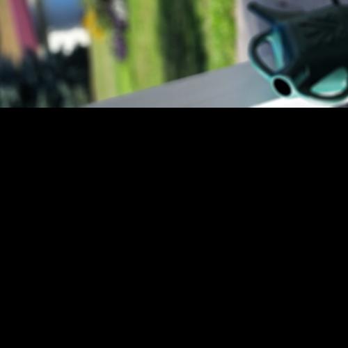 User's pet: Casey Gorman